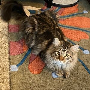 Meet your Posher, Kristin